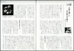 �u�N�v�{���y�[�W