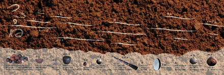 CD�u���̂ˁv�ʐ^CD_3